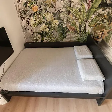 Appartement L'exotique - Hypercentre - Gare *