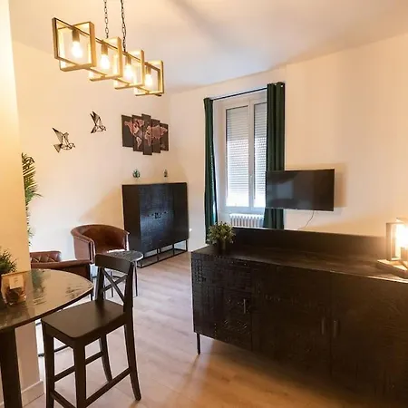 L'exotique - Hypercentre - Gare Angers