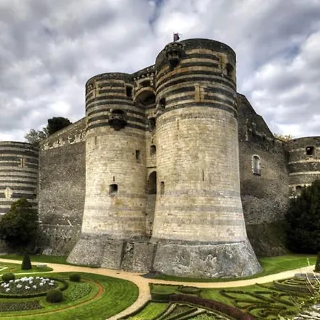 L'exotique - Hypercentre - Gare 앙제