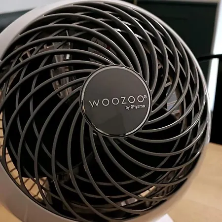 L'exotique - Hypercentre - Gare