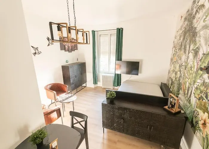 Apartament L'exotique - Hypercentre - Gare Angers